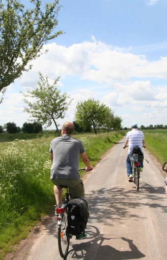 Radfahrer in Liebenau Drei Radfahrer fahren auf einem schmalen Weg durch eine grüne Landschaft mit Bäumen und Wolken.