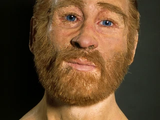 Roter Franz