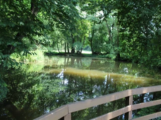 Plaggen Mühle Döhren Dichte Baumkronen spiegeln sich im ruhigen Wasser eines Waldparks, aufgenommen von einer Holzbrücke.