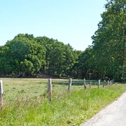 Geest Was