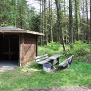 Bäume braucht das Land
