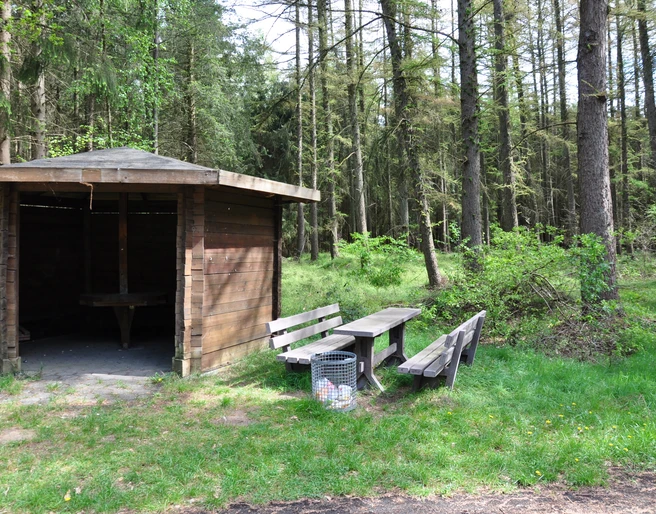 Bäume braucht das Land