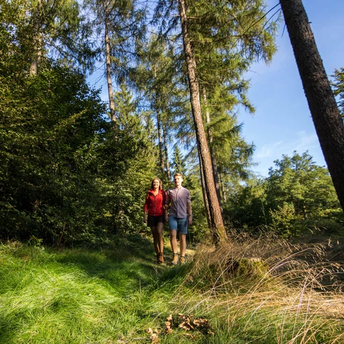 Wandern im Naturpark Münden