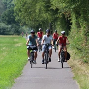Radler Zwei Männer und eine Frau fahren auf einem asphaltierten Weg durch eine grüne Landschaft Fahrrad.