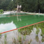 NaturWaldbad Steimbke Waldschwimmbad mit grünlichem Wasser, umgeben von Bäumen; Holzrutsche und Eingrenzungen sichtbar.