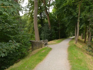 Wallanlage, Teil der alten Stadtbefestigung Ein schmaler, von grünen Bäumen gesäumter Weg auf einer historischen Wallanlage führt durch ein bewaldetes Gebiet.