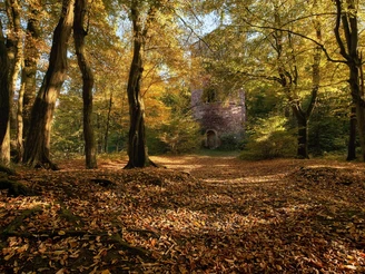 Ruine Bramburg im Naturpark Münden, bei Hemeln