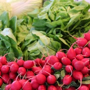 Obst und Gemüse Frisches Gemüse mit lebhaften roten Radieschen und grünen Salatblättern, einladend aufgestapelt.
