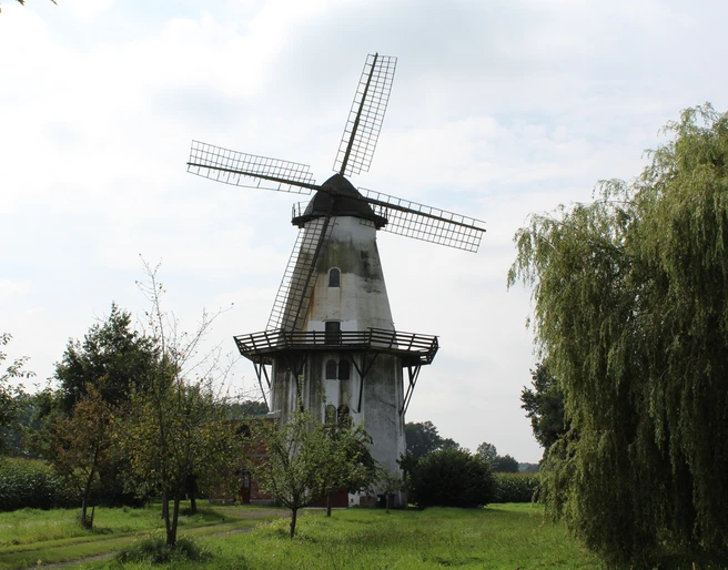 Windmühle in Lavelsloh mit markantem Flügelrad, umgeben von Bäumen und grüner Landschaft.