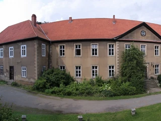 Glückliche Kälber auf der Sommerwiese Stitched Panorama