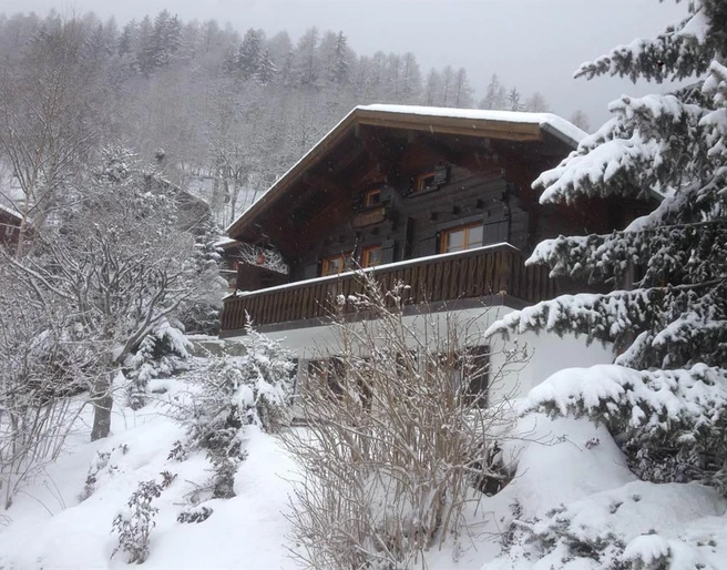 Winter blick