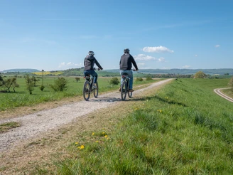 Leinepolder Radfahrer leinepolder-radfahrer