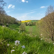 Blick_Kuventhal_R_Wenzen blick-kuventhal-r-wenzen