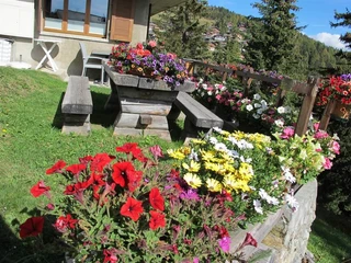 Platzi2