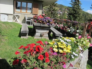 Platzi_1