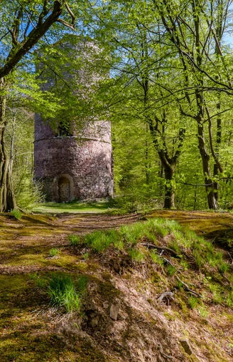 Bramburg bei Hemeln in der Erlebnisregion Hann. Münden