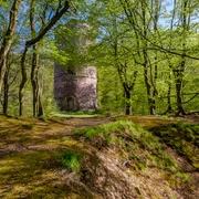 Bramburg bei Hemeln in der Erlebnisregion Hann. Münden Bramburg bei Hemeln in der Erlebnisregion Hann. Münden