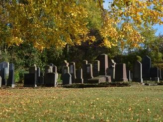 Jüdischer Friedhof in Brakel Reihen von Grabsteinen auf dem jüdischen Friedhof in Brakel, umgeben von herbstlich gefärbtem Laub.
