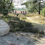 schoene-aussicht-behringer-heide