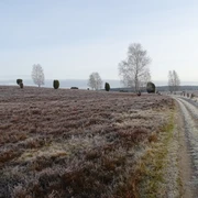 hoerpeler-heide-im-winter