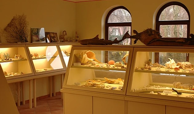 Die Ausstellung