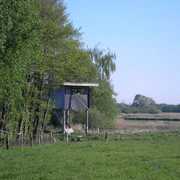 beobachtungsturm-polder-bramel OLYMPUS DIGITAL CAMERA