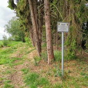 Schwarzes Schaf