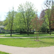 SG Grafschaft Hoya Bürgerpark Grüne Parklandschaft mit gepflegtem Rasen und vielen Bäumen, umgeben von einem geschwungenen Weg.