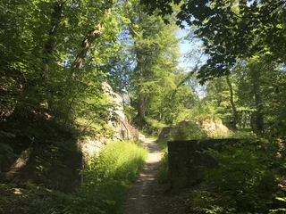 Rundwanderung Asse Station 2 Foto Lau Nördliche Harzvorland Tourismusverband e. V. (15).jpg