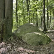 Naturschutzgebiet Steinernes Meer bei Belm-Vehrte, Osnabrücker Land, Niedersachsen, Deutschland  Naturschutzgebiet Steinernes Meer bei Belm-Vehrte, Osnabrücker Land, Niedersachsen, Deutschland
