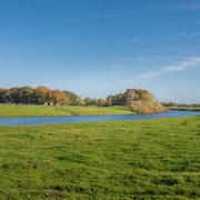 Kuhweide