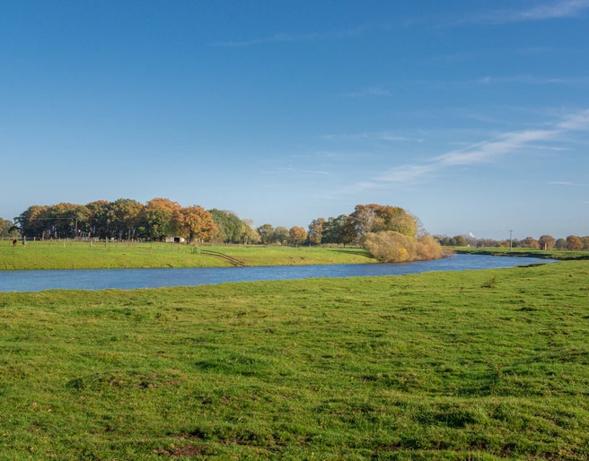 Kuhweide