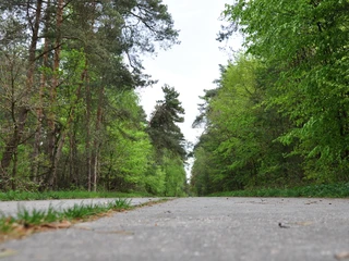 WTM004_Unverwüstliche Straße_DSC_0536.JPG