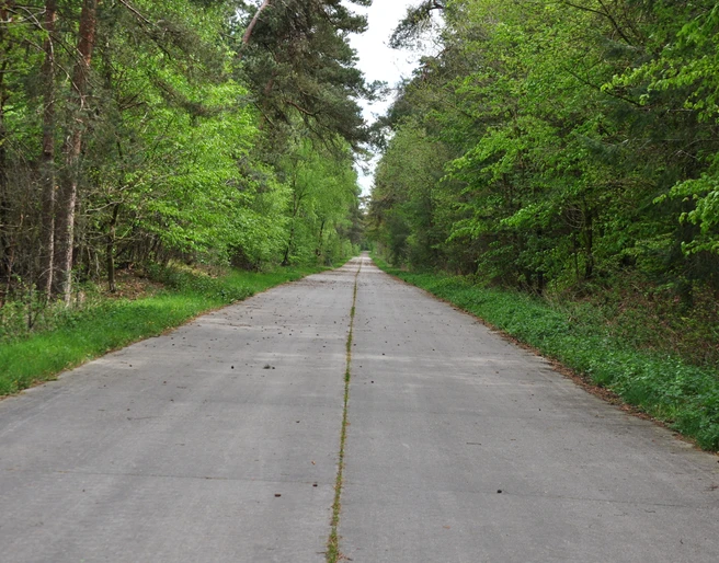 WTM004_Unverwüstliche Straße_DSC_0534.JPG