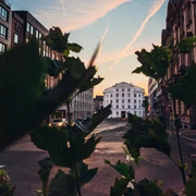 Blick auf das Theater Aachen durch Zweige und Blätter hindurch.