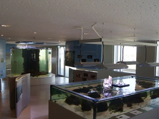 Nationalpark-Haus Wurster Nordseeküste Junior Rangers Ausstellung SONY DSC