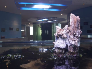 Nationalpark-Haus Wurster Nordseeküste Ausstellung SONY DSC