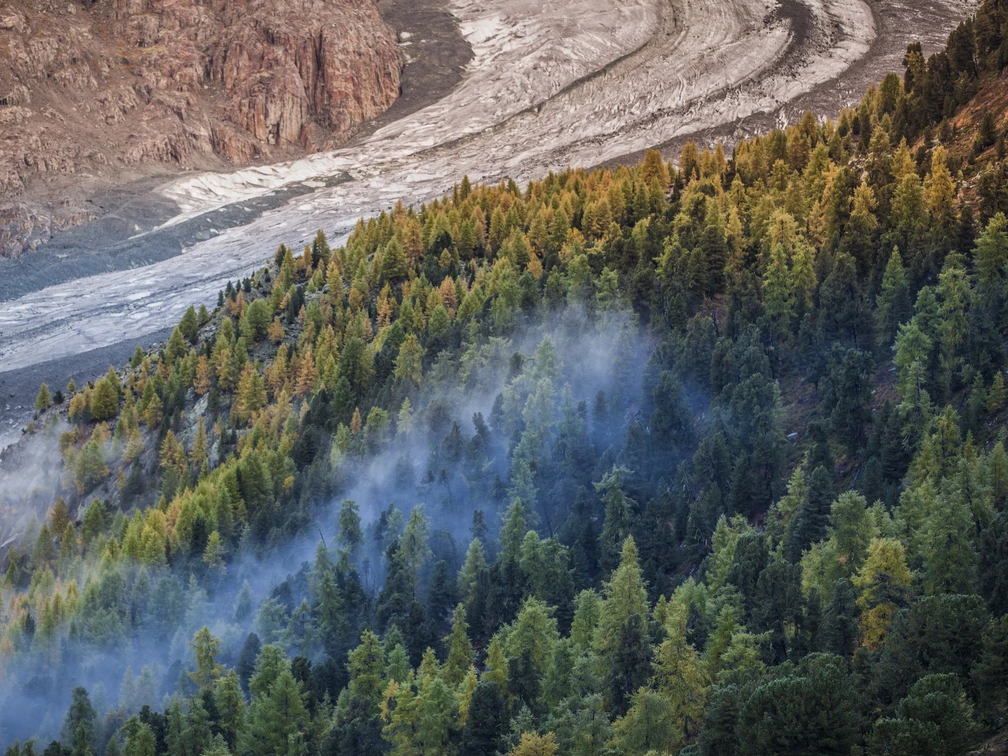 Grosser Aletschgletscher im Herbst mit Nebel  Grosser Aletschgletscher im Herbst mit Nebel