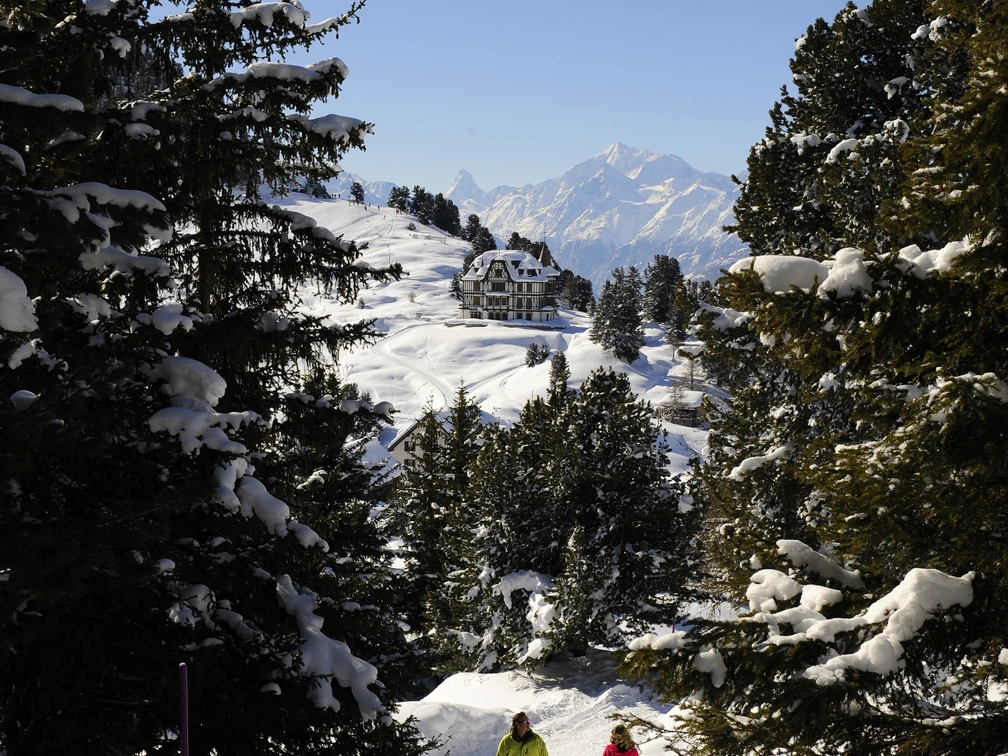 Winterwandern im Aletschwald  Winterwandern im Aletschwald