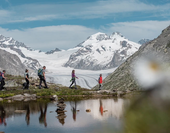 Wanderung Eggishorn - Taelligrat - Taellisee - Maerjela in der Aletsch Arena Wanderung Eggishorn - Taelligrat - Taellisee - Maerjela in der Aletsch Arena