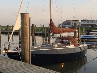 Wasserwelt Wattenmeer