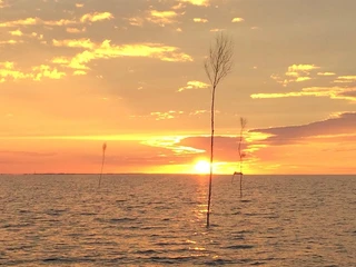 Wasserwelt Wattenmeer_Sonnenuntergang