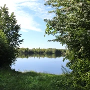 Ein stiller See mit umgebender Grünfläche und klarem Himmel, eingerahmt von dichtem Laubwerk.