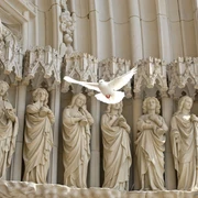 Friedenstaube vor der Marienkirche in Osnabrück Eine weiße Taube fliegt vor einer gotischen Steinreliefdarstellung mit Heiligen.