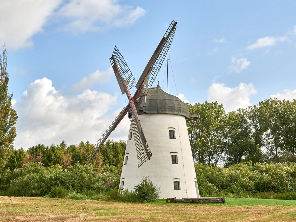 Windmühle - Nördliches Harzvorland Windmühle - Nördliches Harzvorland