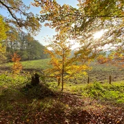 Pirschbachtal