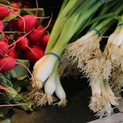 Frische Bündel von Radieschen und Frühlingszwiebeln liegen nebeneinander auf einem Marktstand.