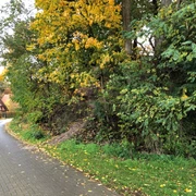 Ein schmaler Weg führt entlang eines bewaldeten Hügels in einer herbstlichen Dorflandschaft.
