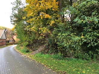 Ringwall Ein schmaler Weg führt entlang eines bewaldeten Hügels in einer herbstlichen Dorflandschaft.