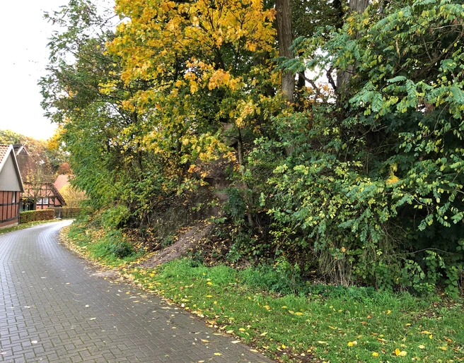 Ringwall Ein schmaler Weg führt entlang eines bewaldeten Hügels in einer herbstlichen Dorflandschaft.